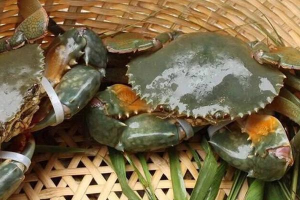为什么马家荡大闸蟹好？马家荡还有哪些特产